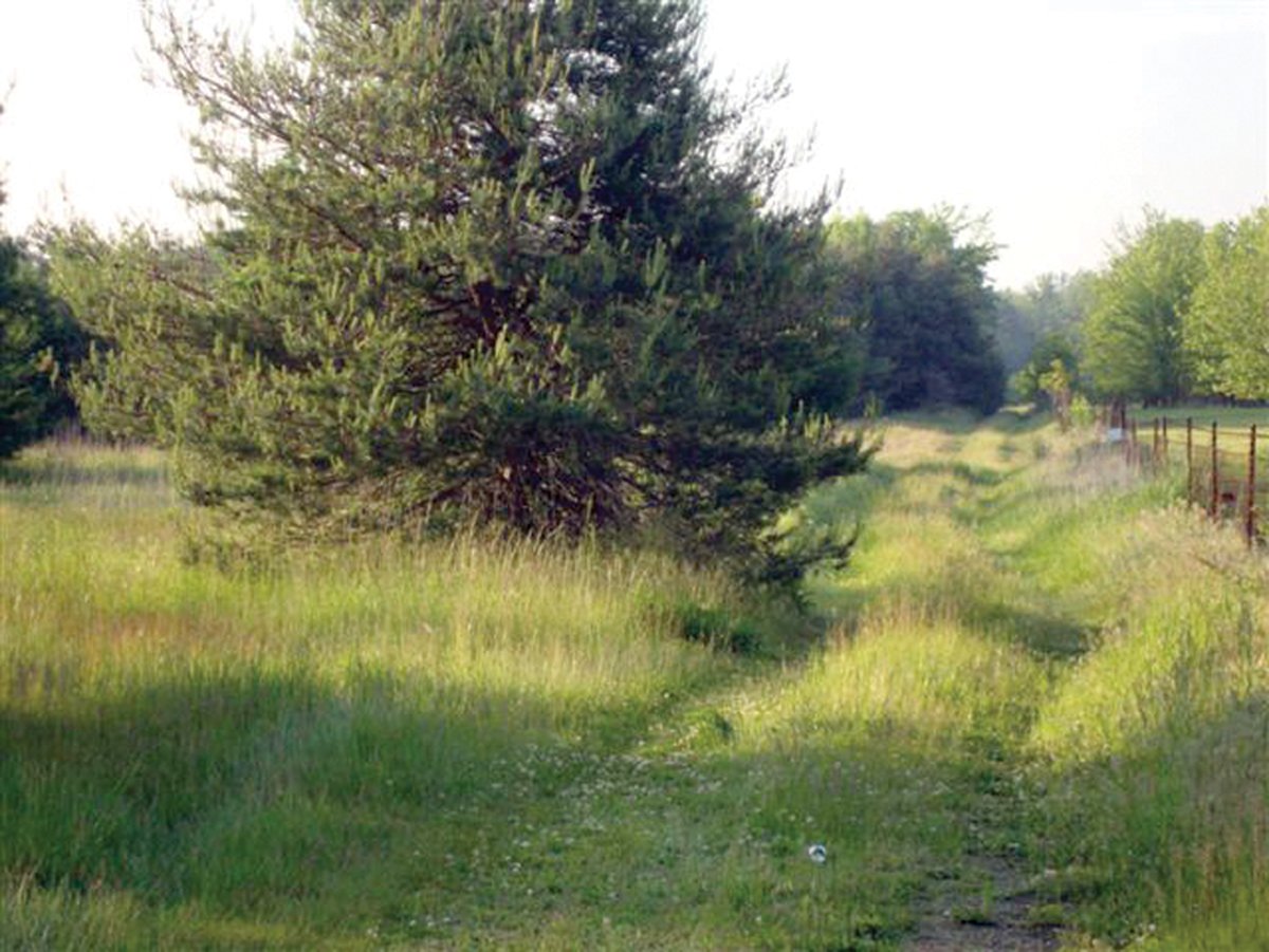 Property photo 4 - 10 Acre Building Site Real Estate Auction